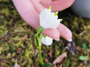 Der Frühling kommt!