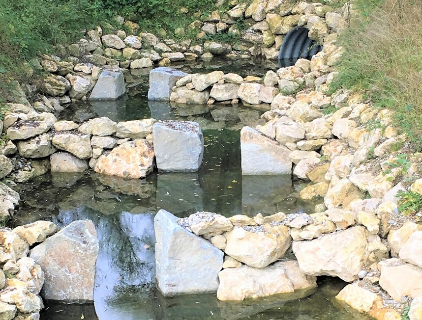 Eine Fischtreppe als ökologisch wertvolle Maßnahme