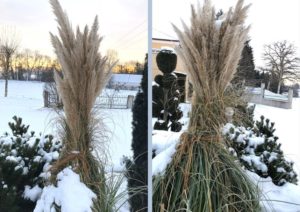 Gartentipps für den Winter